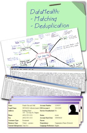 Documenting data manipulation, matching and deduplication facilities for flat file data sets